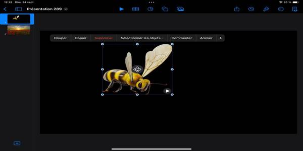 AJOUTER OBJETS 3D DANS KEYNOTE (USDZ FILES) - Apple Education Community