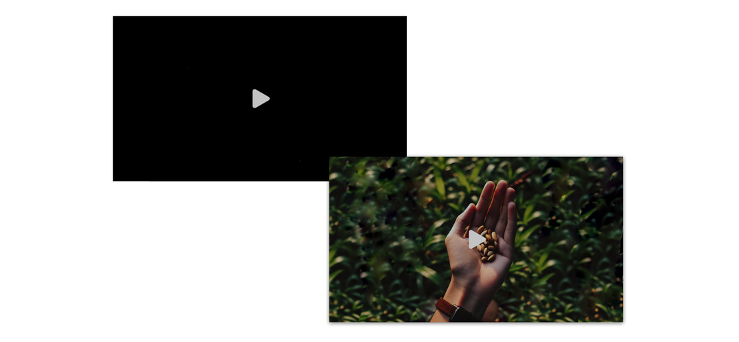 Example of two video players — one has a play icon over a black field, the other is a play icon over a hand holding seeds