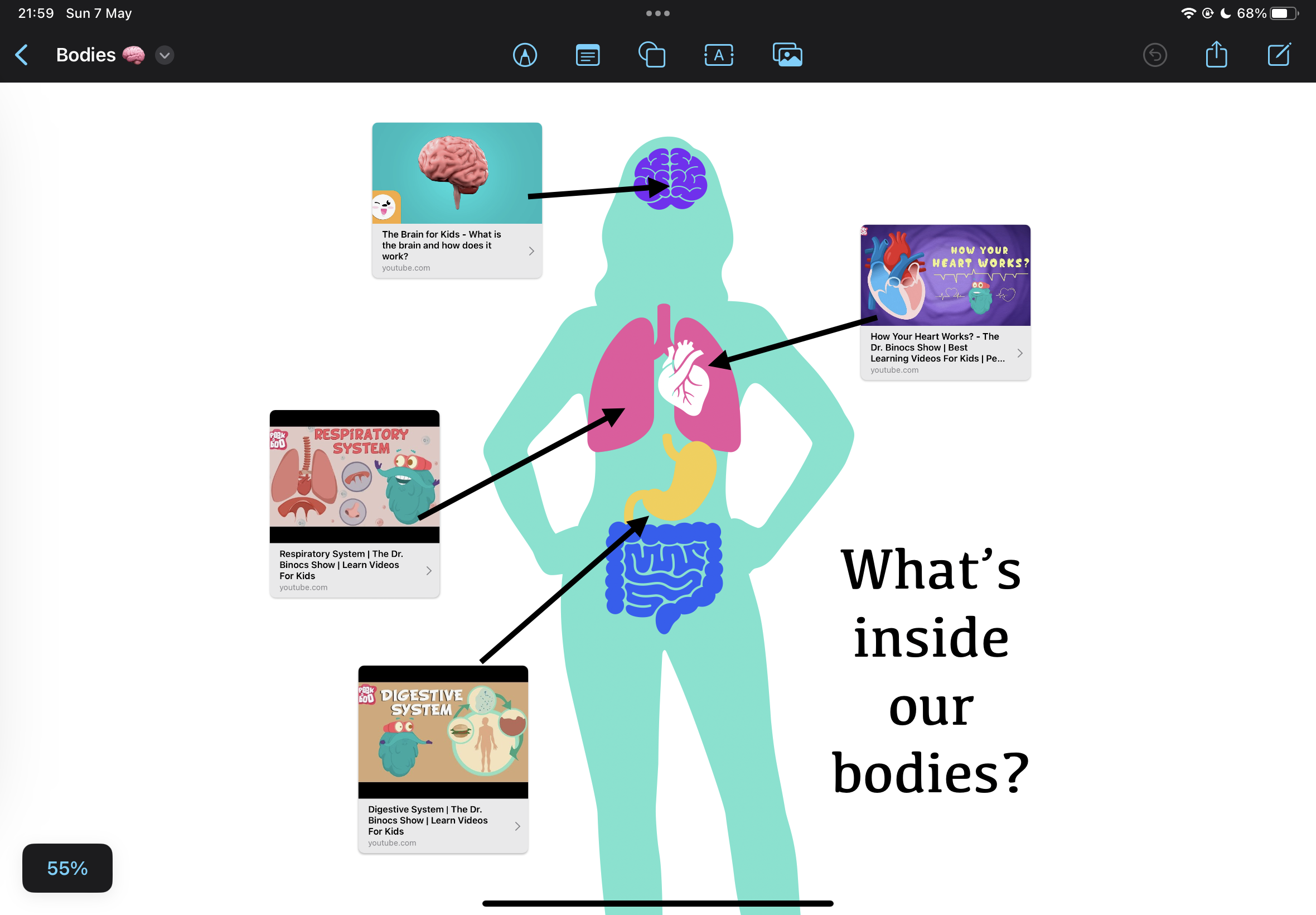 A Freeform board with a human body diagram and YouTube videos linked to different body parts