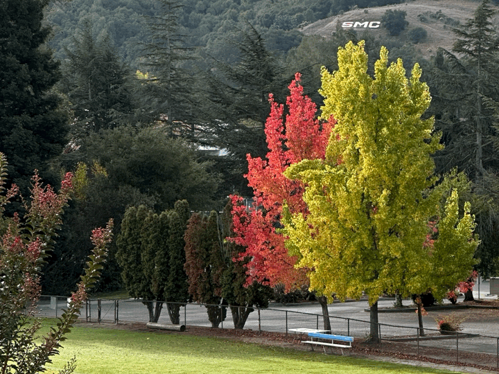 Photo of Fall colors at Saint Mary’s College of California with inset animated word “Fall”