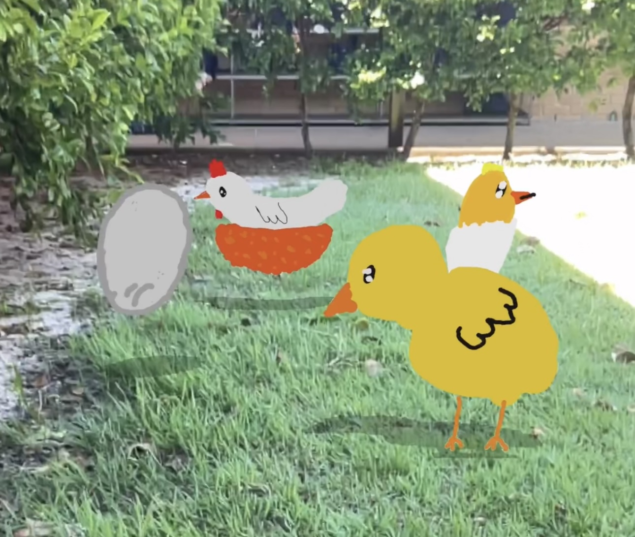 Lifecycle of a Chicken using Augmented Reality 