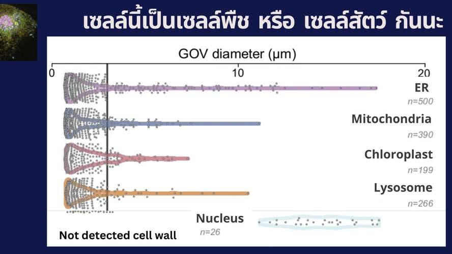 ภาพข้อมูลเพิ่มเติมที่สร้างข้อสงสัยให้ตั้งคำถามต่อและอภิปรายร่วมกัน