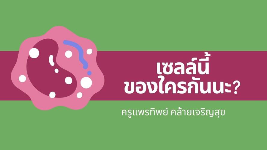 สถานการณ์ปัญหาเพื่อนำเข้าสู่กิจกรรมการเรียนการสอน