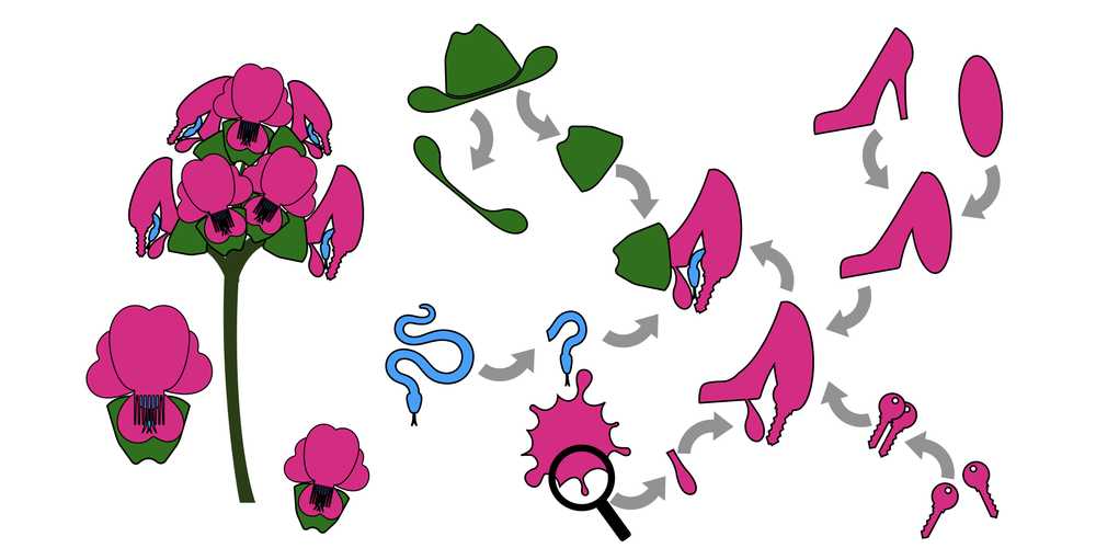 Picture showing how a flower can be assembled from different shapes.