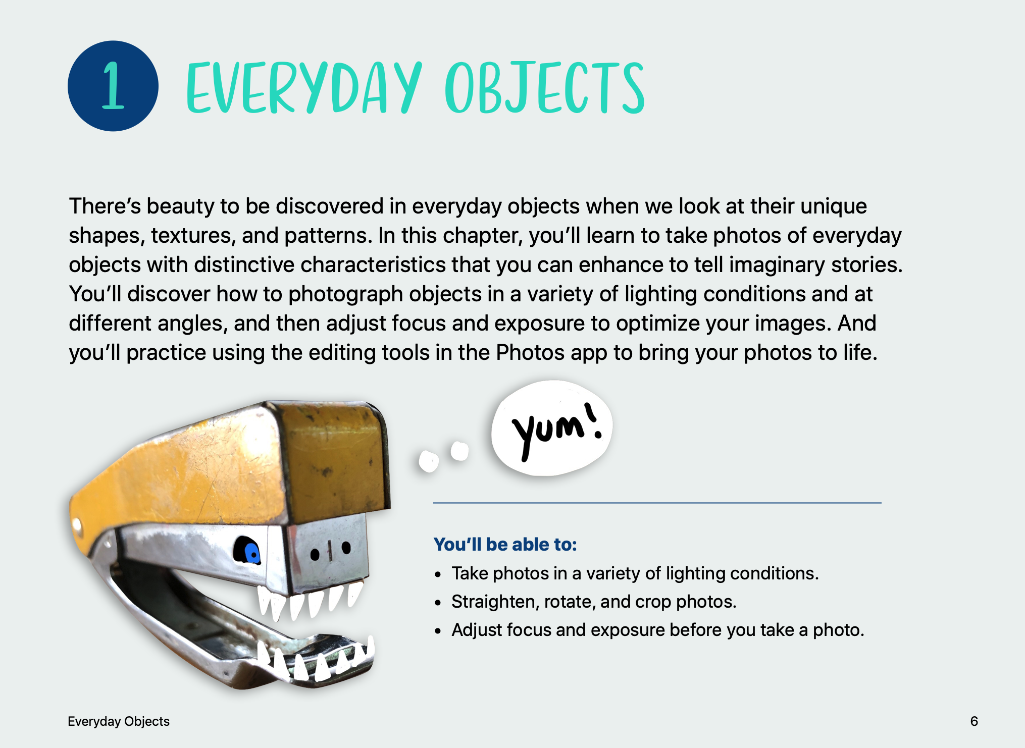 A screenshot of the first page of the Everyday Objects unit from the Everyone Can Create Photo book. 