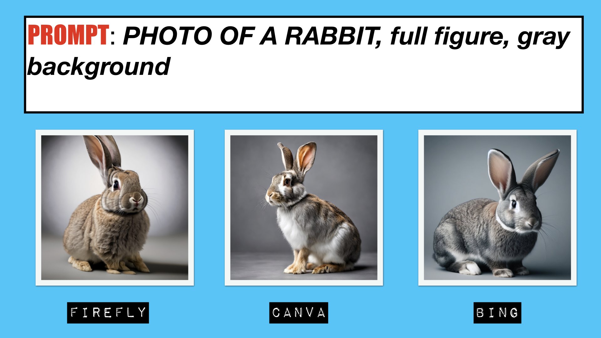 AI PROMPT - PHOTO OF A RABBIT