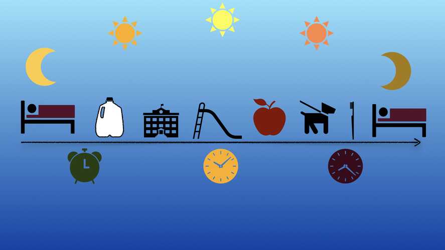 You can see shapes that design your day in keynote