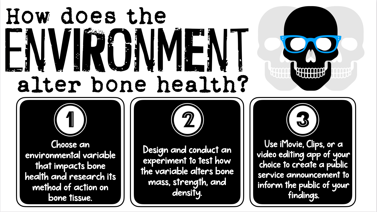 How does the environment alter bone health graphic