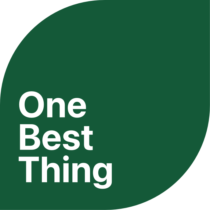 One Best thing ADE green leaf logo