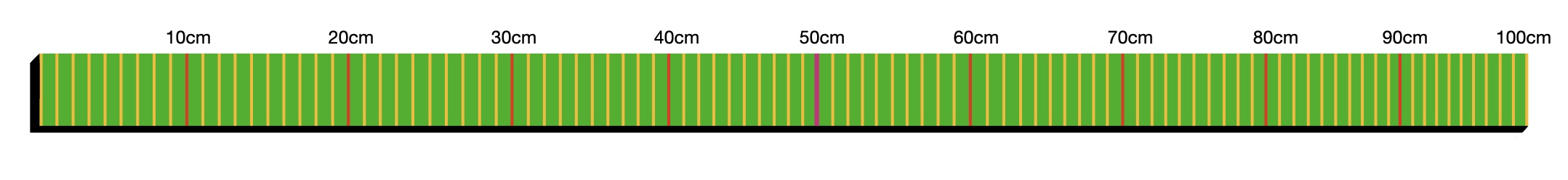 Green metre stick with 10 centimetre intervals marked with a red line. 