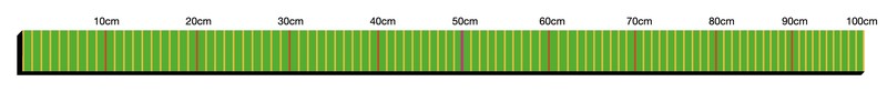 Green metre stick with 10 centimetre intervals marked with a red line. 