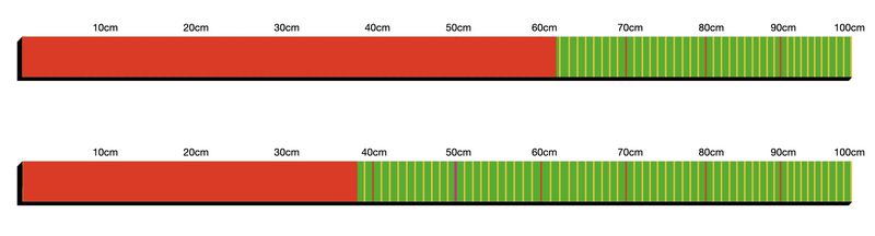 First metre stick shows six one point eight centimetres. Second metre stick shows thirty eight point two centimetres. 