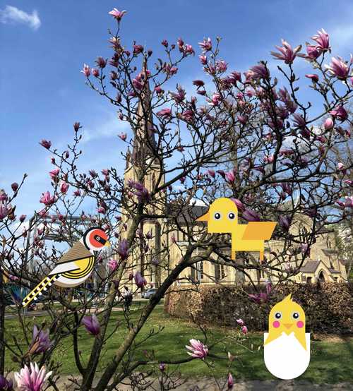 A photo of a blossom tree against a bright blue sky. The three geometric bird creations are placed within the tree.