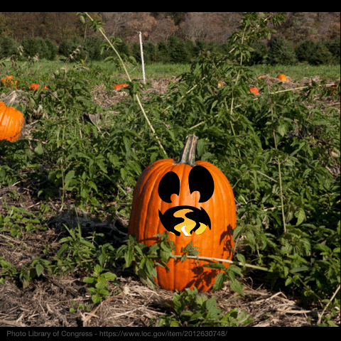 Animated Halloween Pumpkin in a field