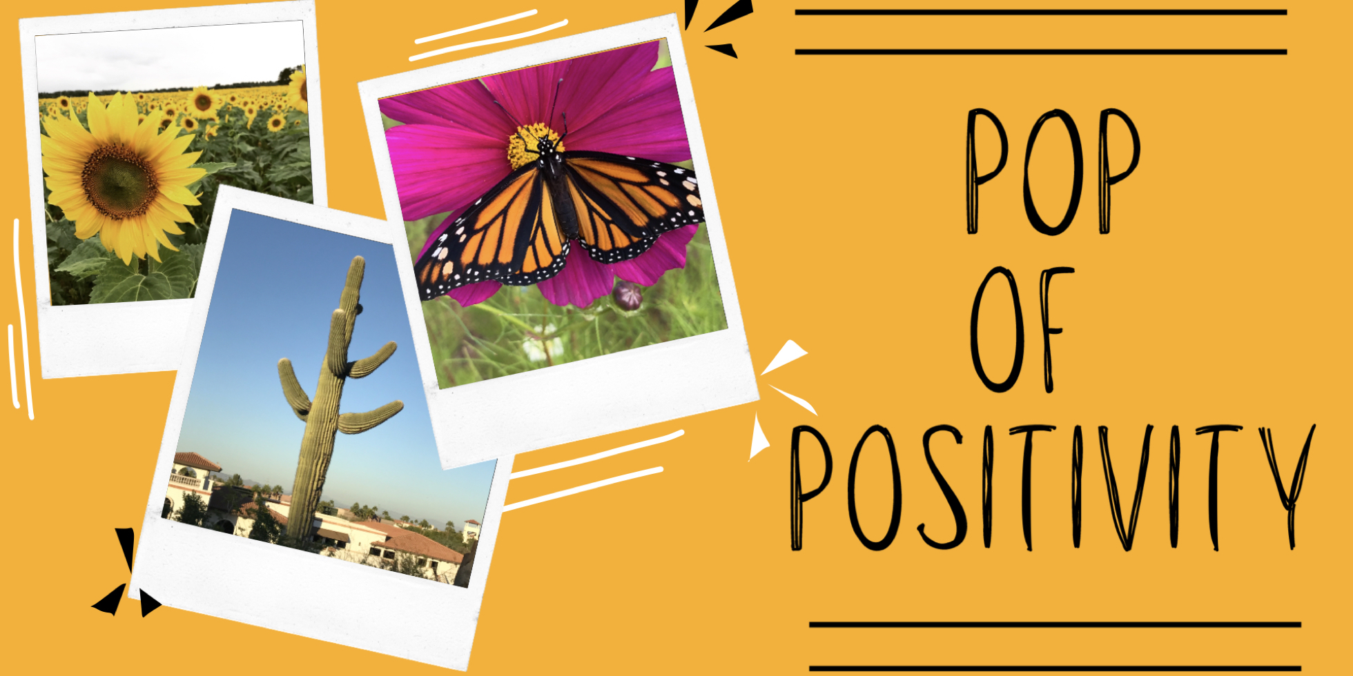 Polaroid photo of a sunflower, cactus, monarch butterfly with title of project