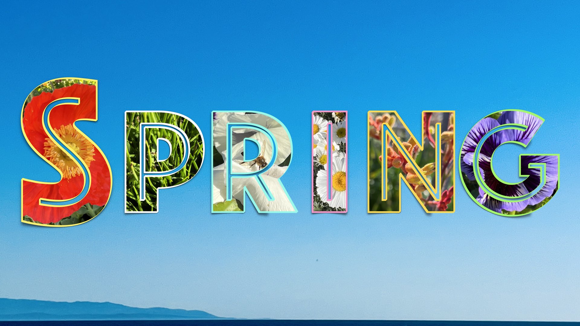 The word Spring in bold lettering that has pictures of varies plants inside.