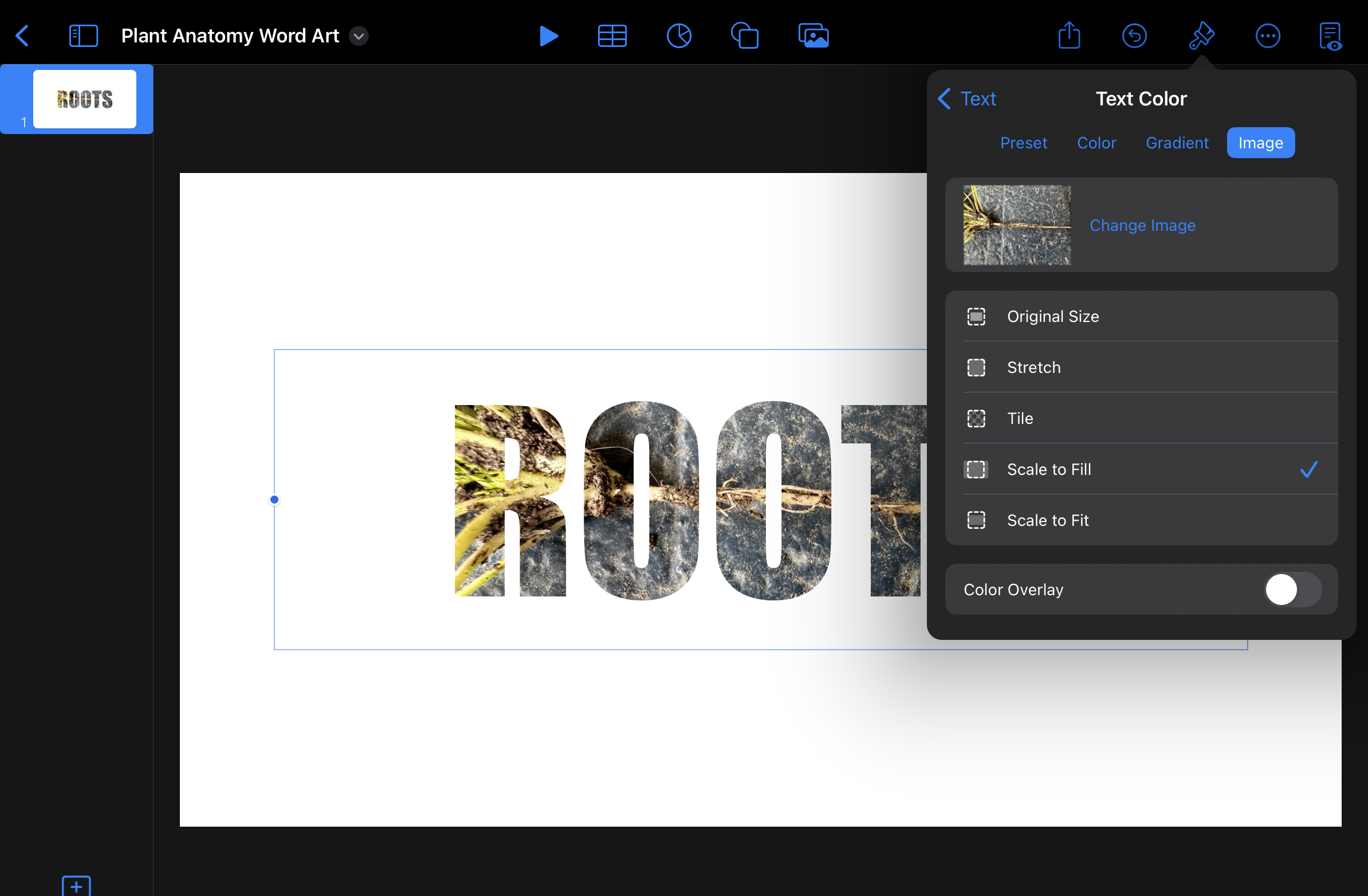 Screenshot showing the formatting tool in Keynote setting the text to image fill.