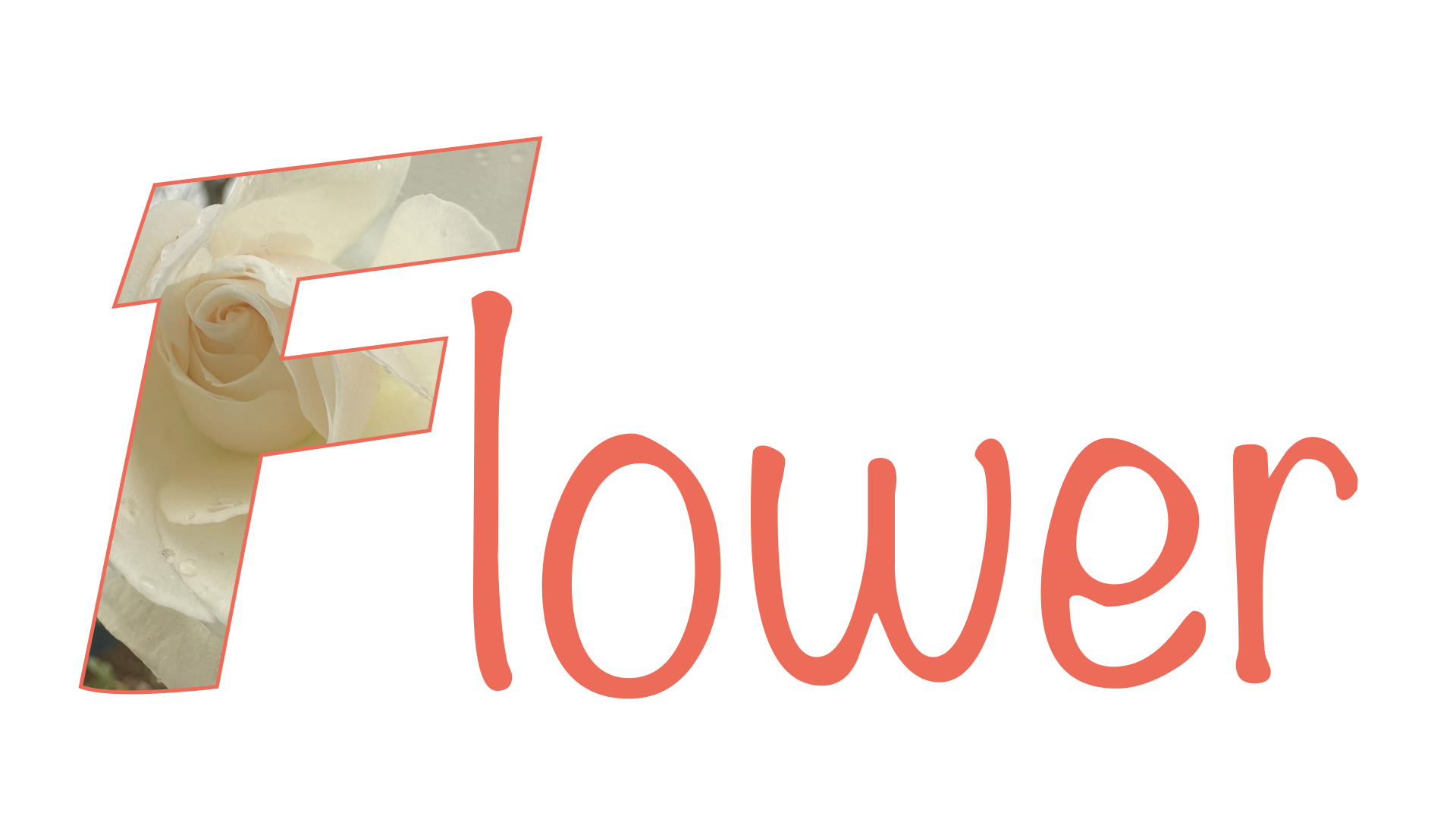 The word flower with the picture of a flower in the F of the word.