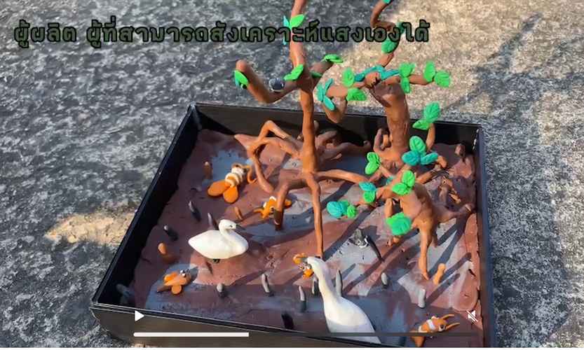 แบบจำลองระบบนิเวศ