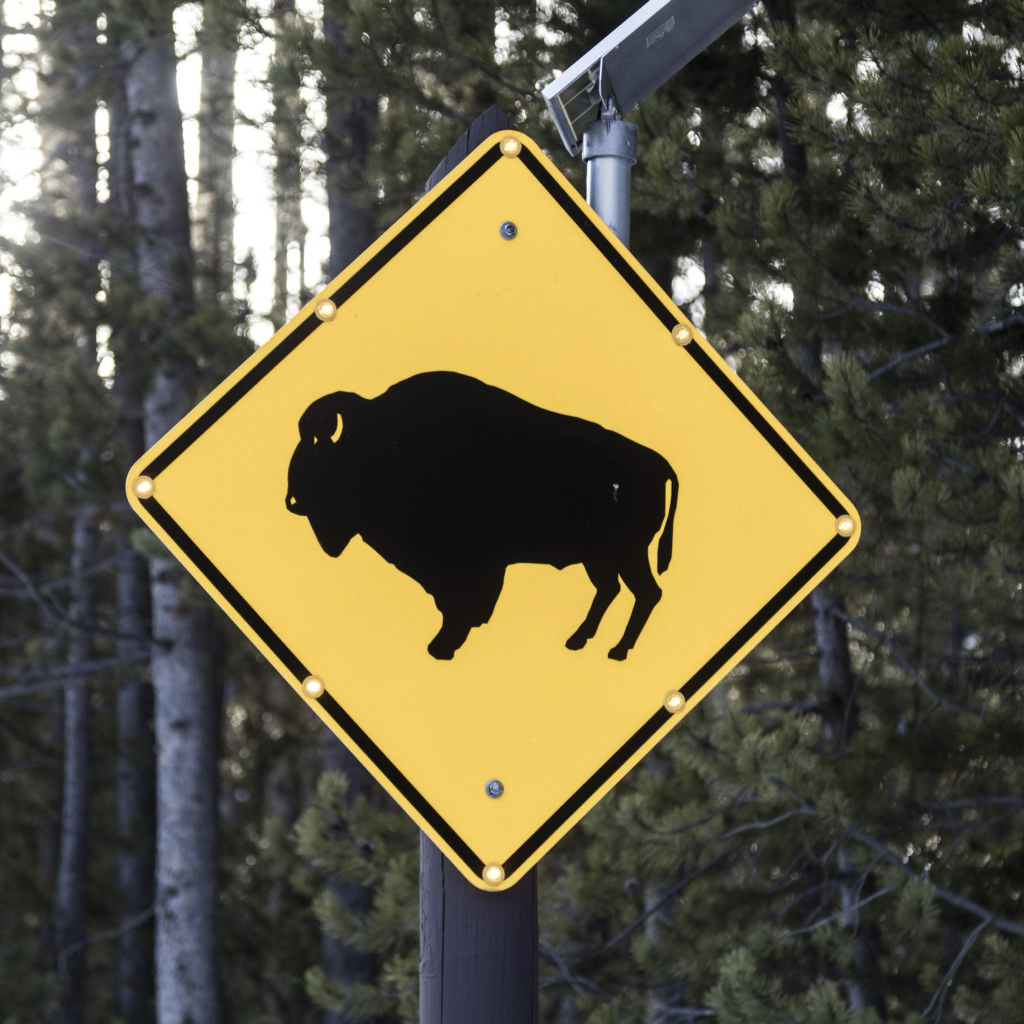 Buffalo-crossing sign in the vast Wyoming portion of Yellowstone National Park - Library of Congress.